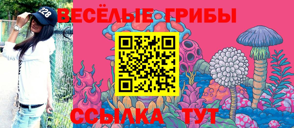 Псилоцибиновые грибы ЛСД Острогожск
