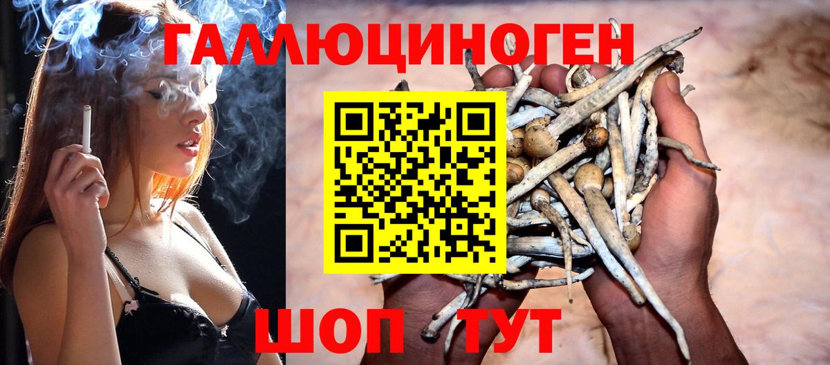 Псилоцибиновые грибы MAGIC MUSHROOMS  Псилоцибиновые грибы прущие грибы  где купить наркоту  Вход с VPN  Острогожск 